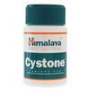fastx-pills-Cystone fastx-pills-Cystone